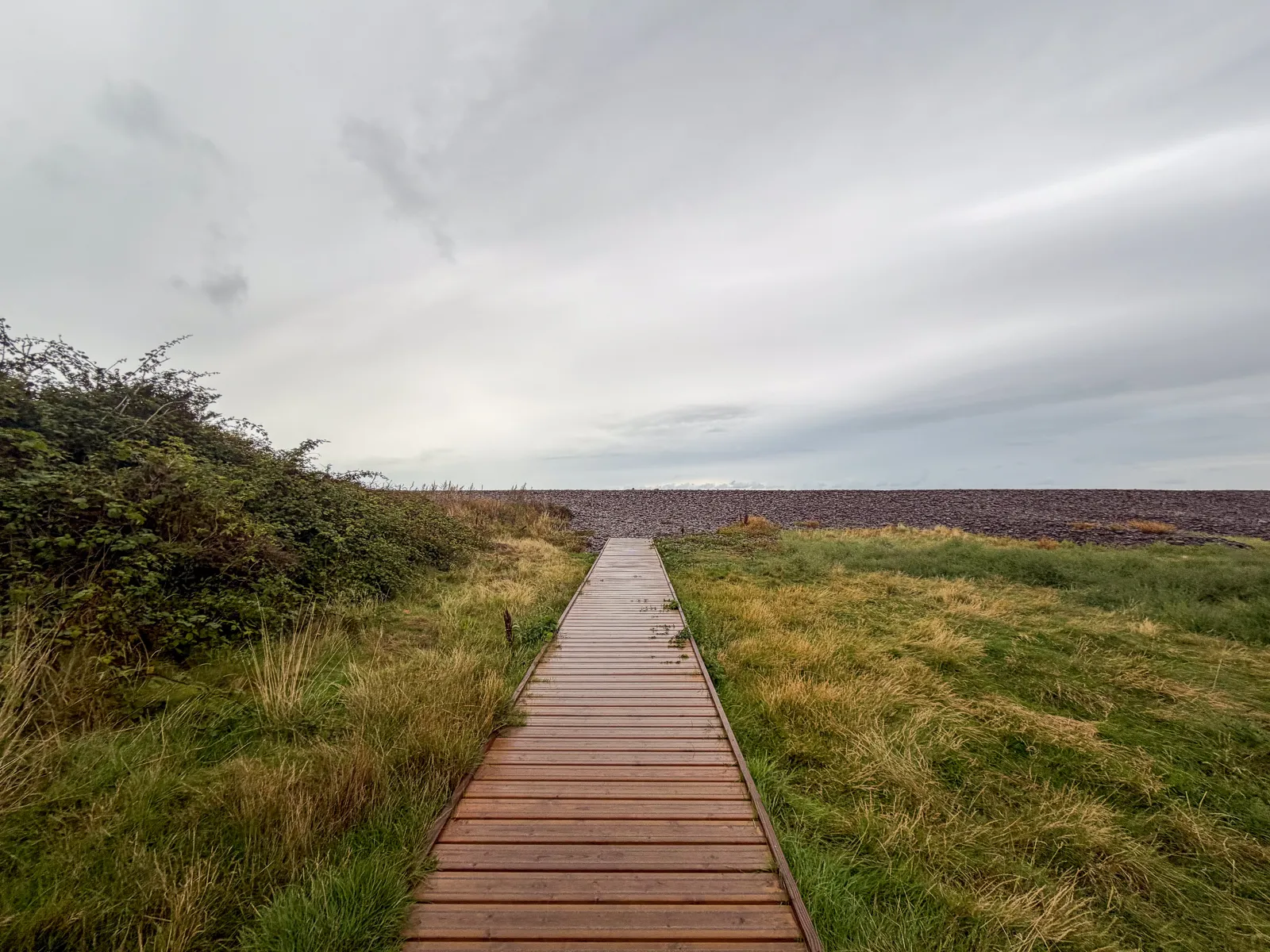 Photo at Porlock Marsh