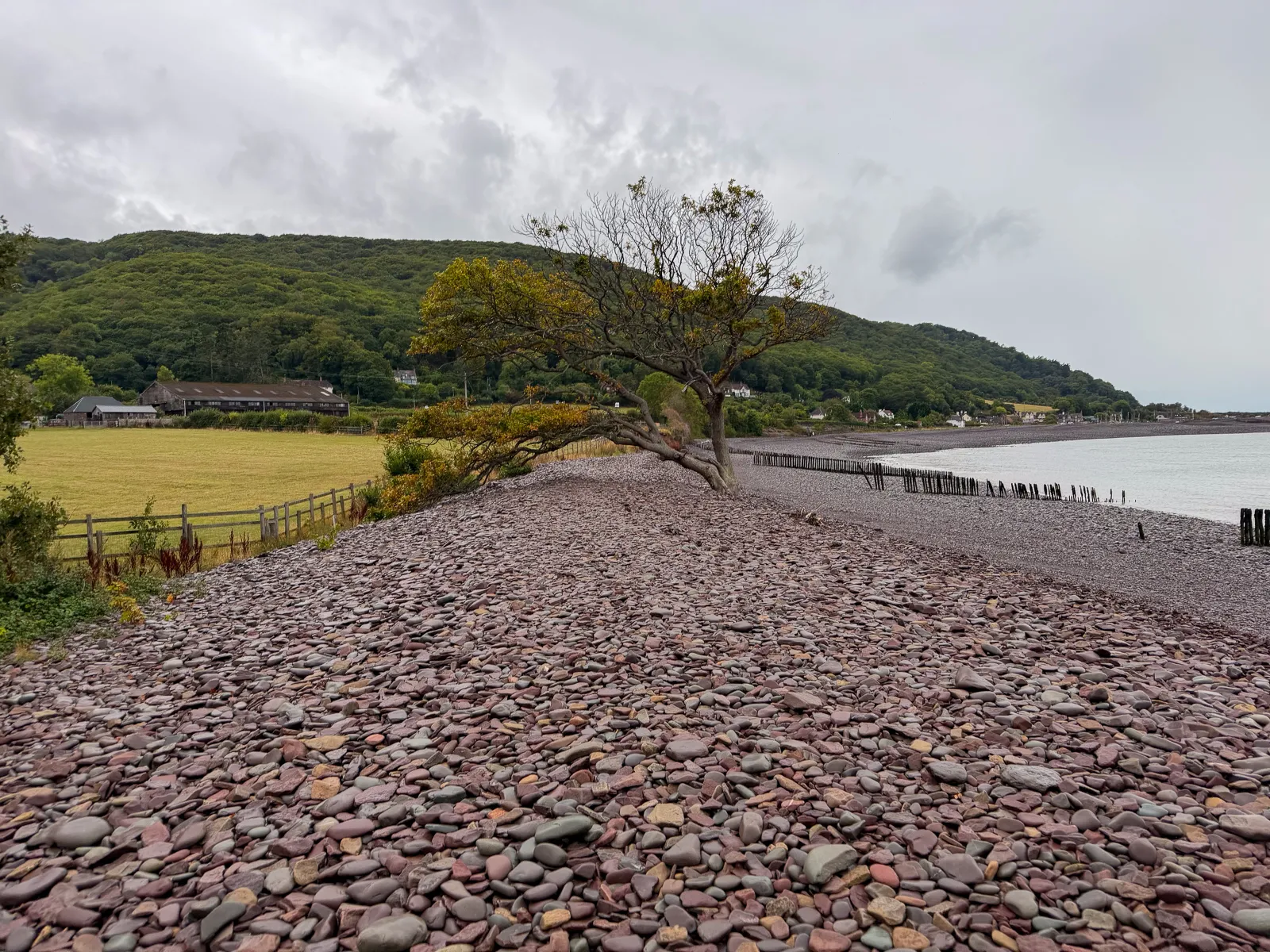 Photo at Porlock Marsh
