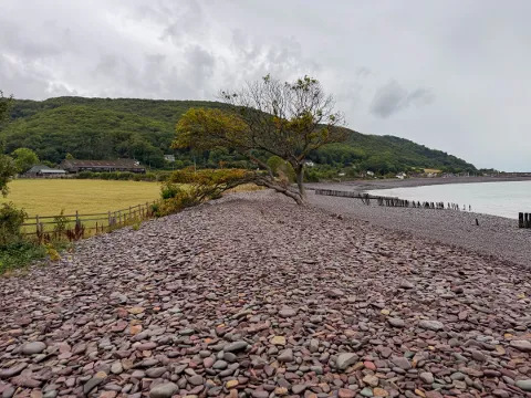 Photo at Porlock Marsh
