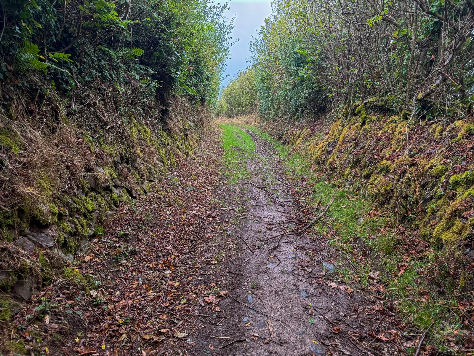 Photo at Coleridge Way