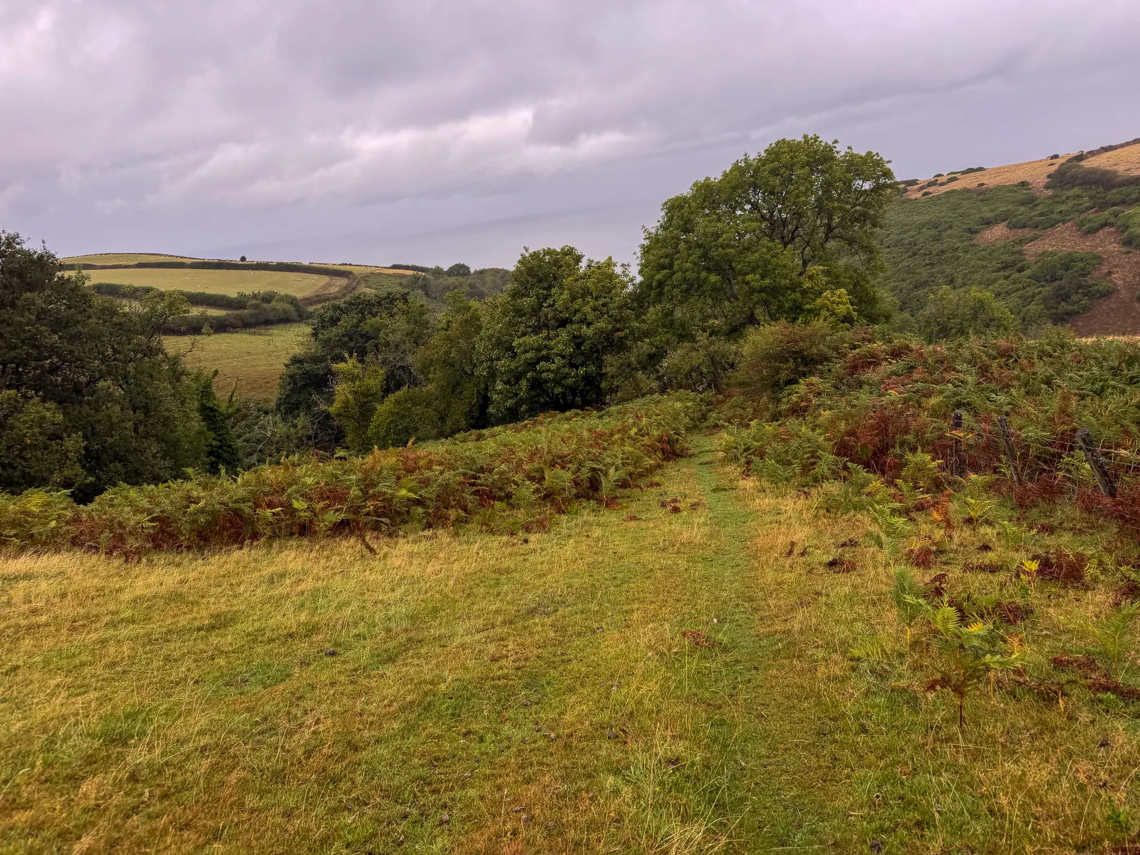 Photo at Glenthorne, North Devon