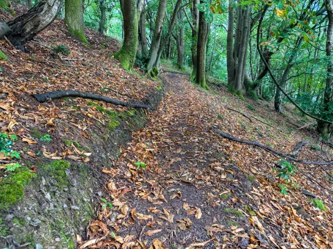 Photo at Glenthorne