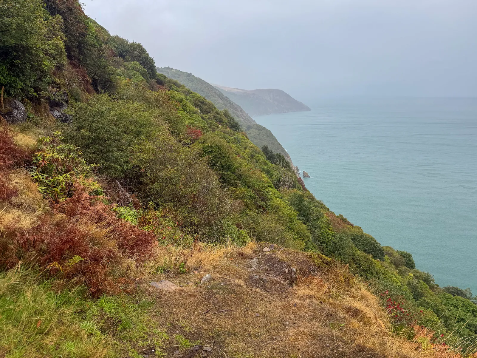 Photo at Glenthorne, North Devon