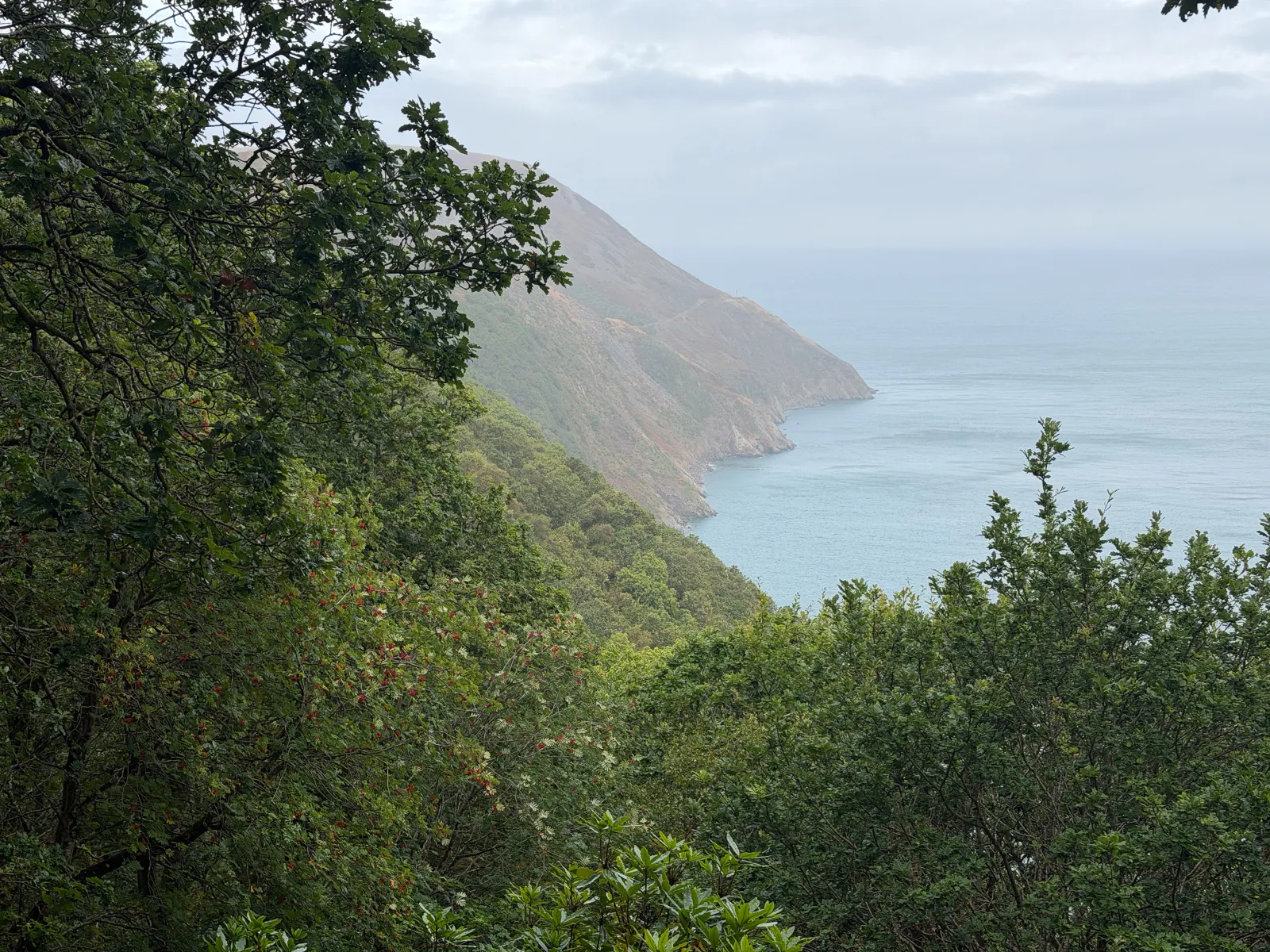 Photo at Glenthorne, North Devon
