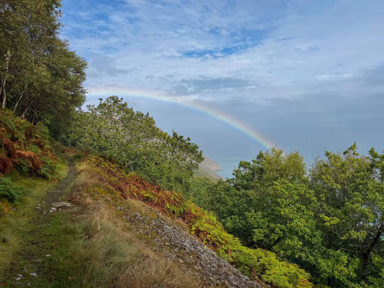 Photo at near Countisbury, North Devon