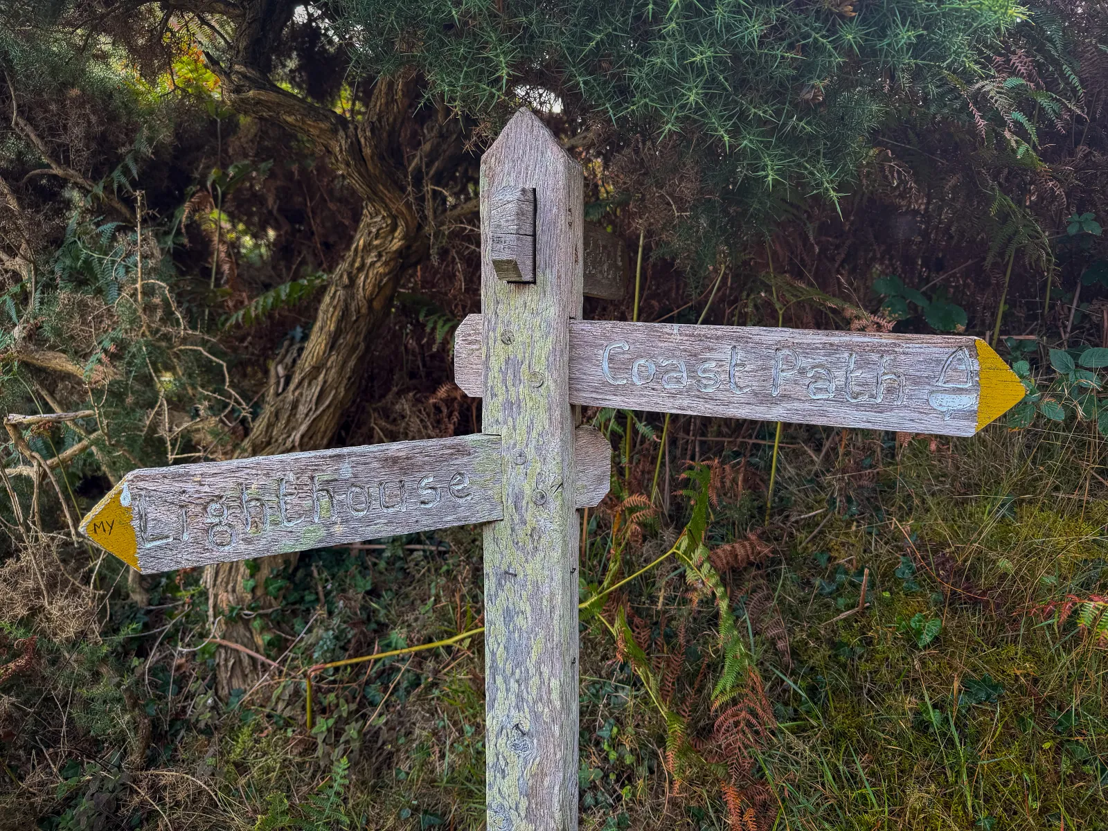 Photo at Countisbury, North Devon