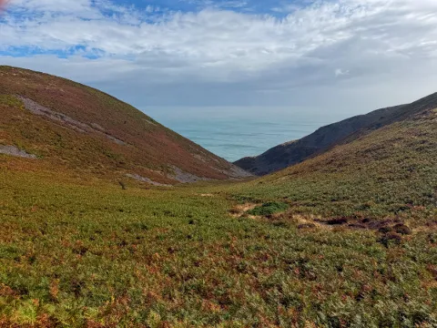 Photo at Countisbury