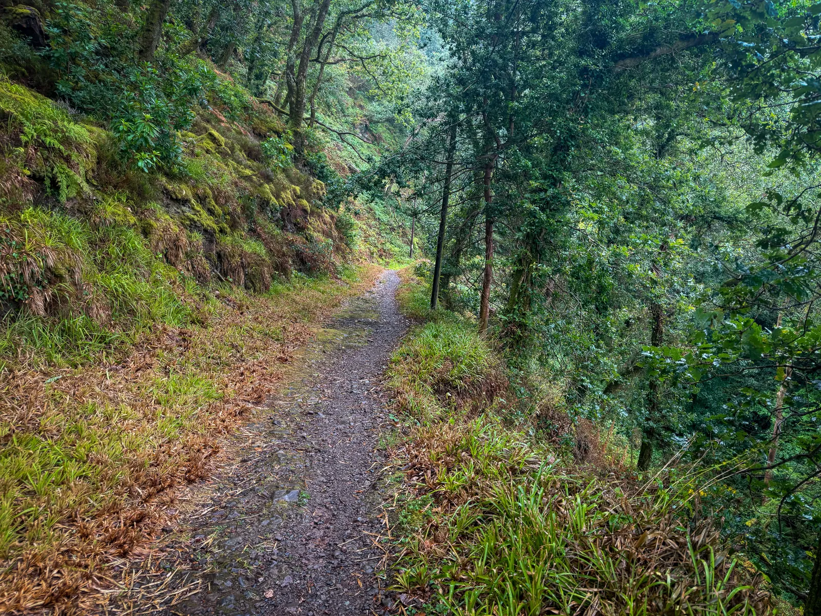 Photo at Woody Bay, North Devon