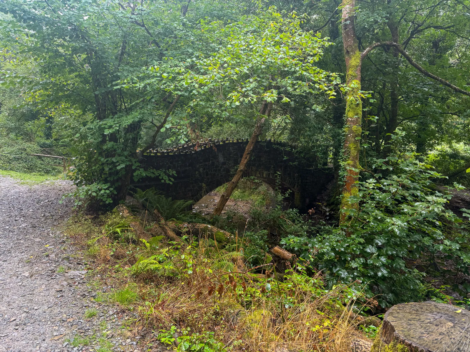 Photo at Martinhoe, North Devon