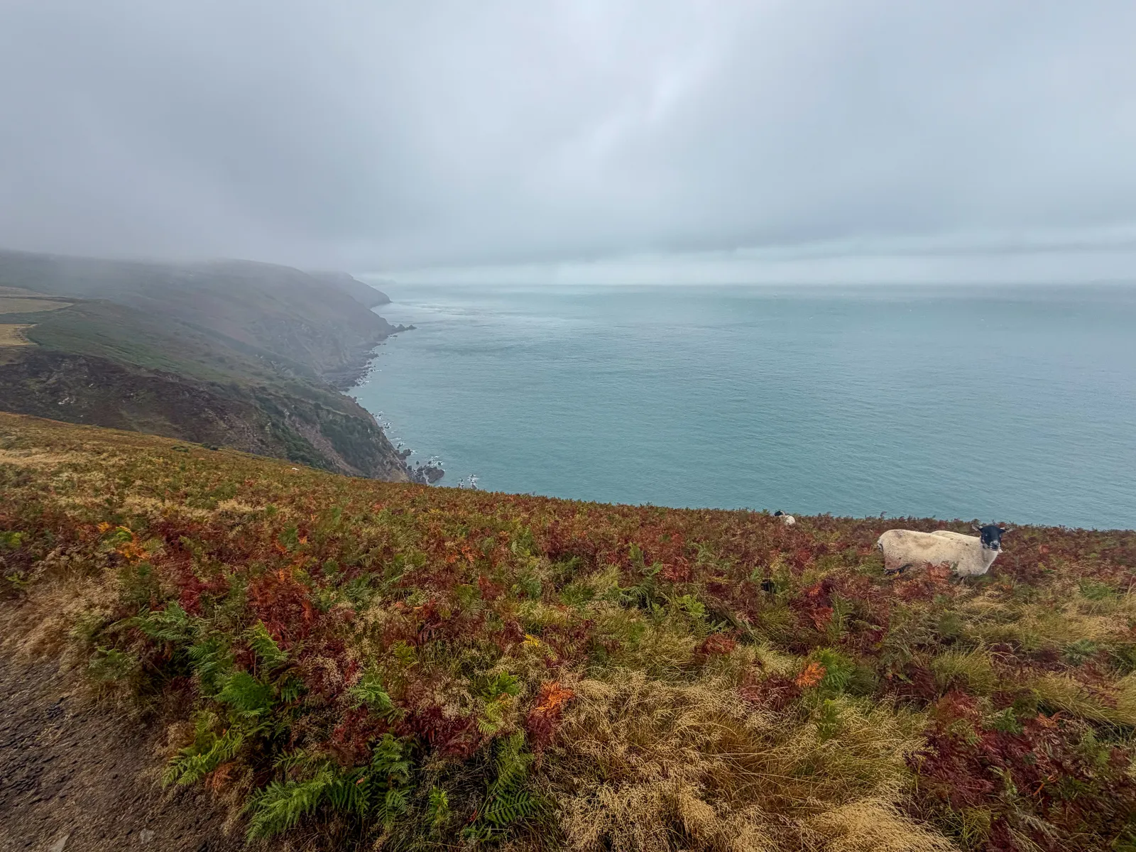 Photo at Trentishoe, North Devon