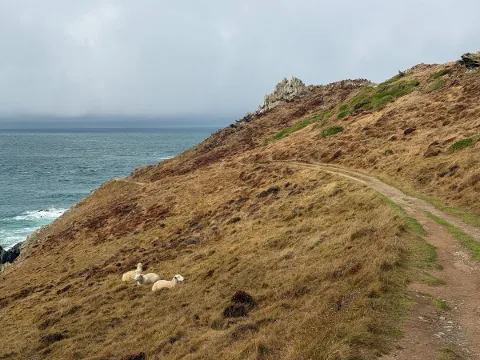 Photo at Mortehoe