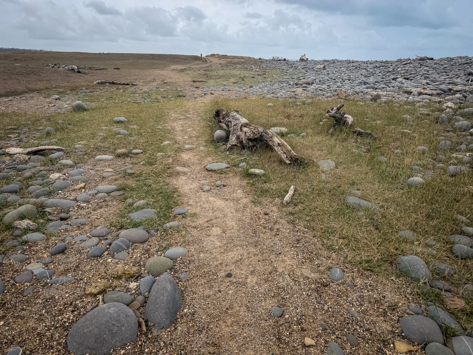 Photo at Northam Burrows, Northam
