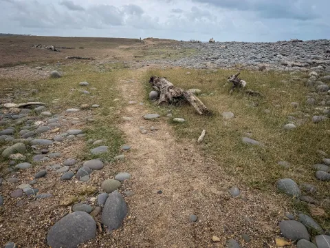 Photo at Northam Burrows