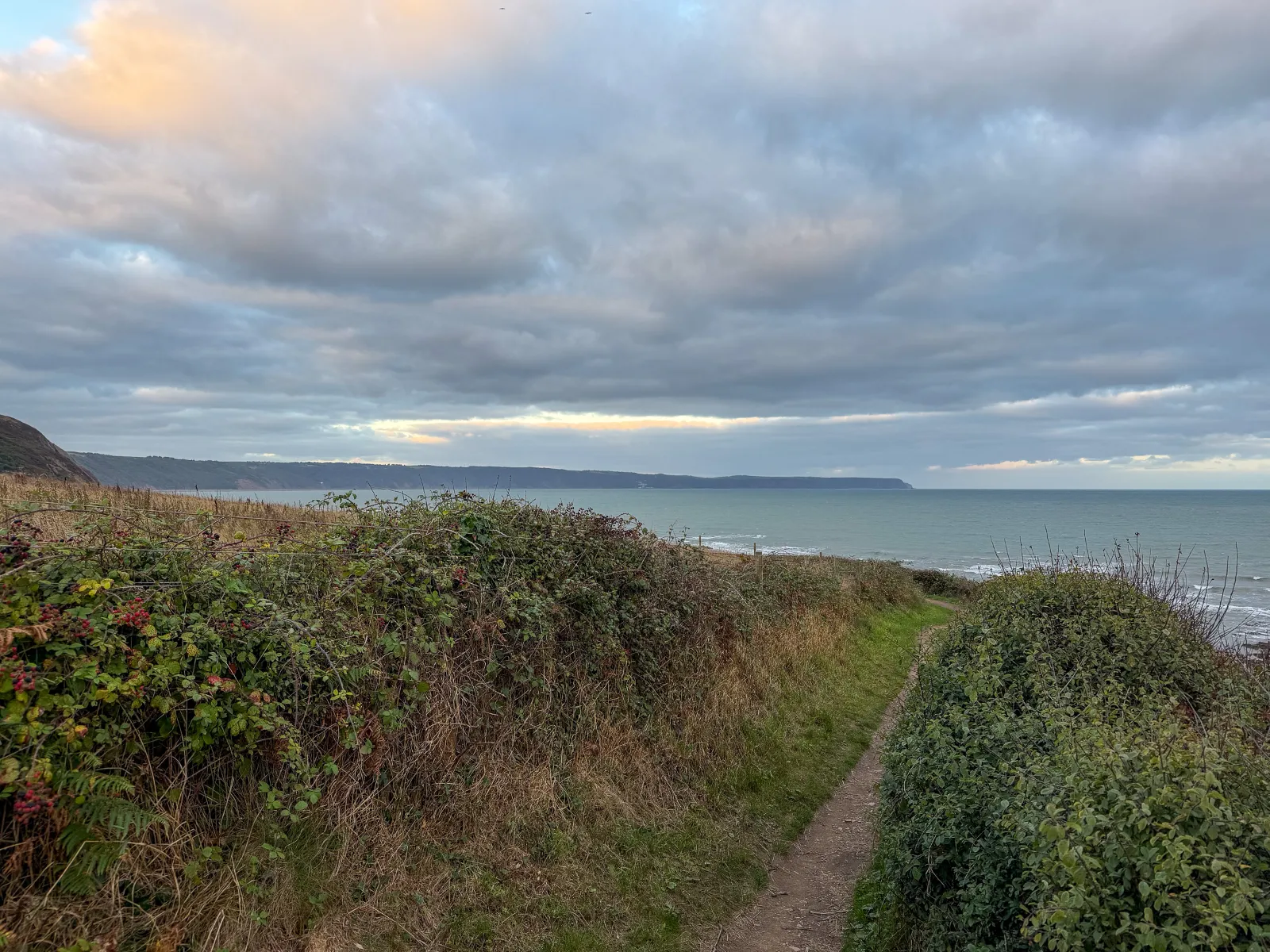 Photo at Abbotsham, Torridge