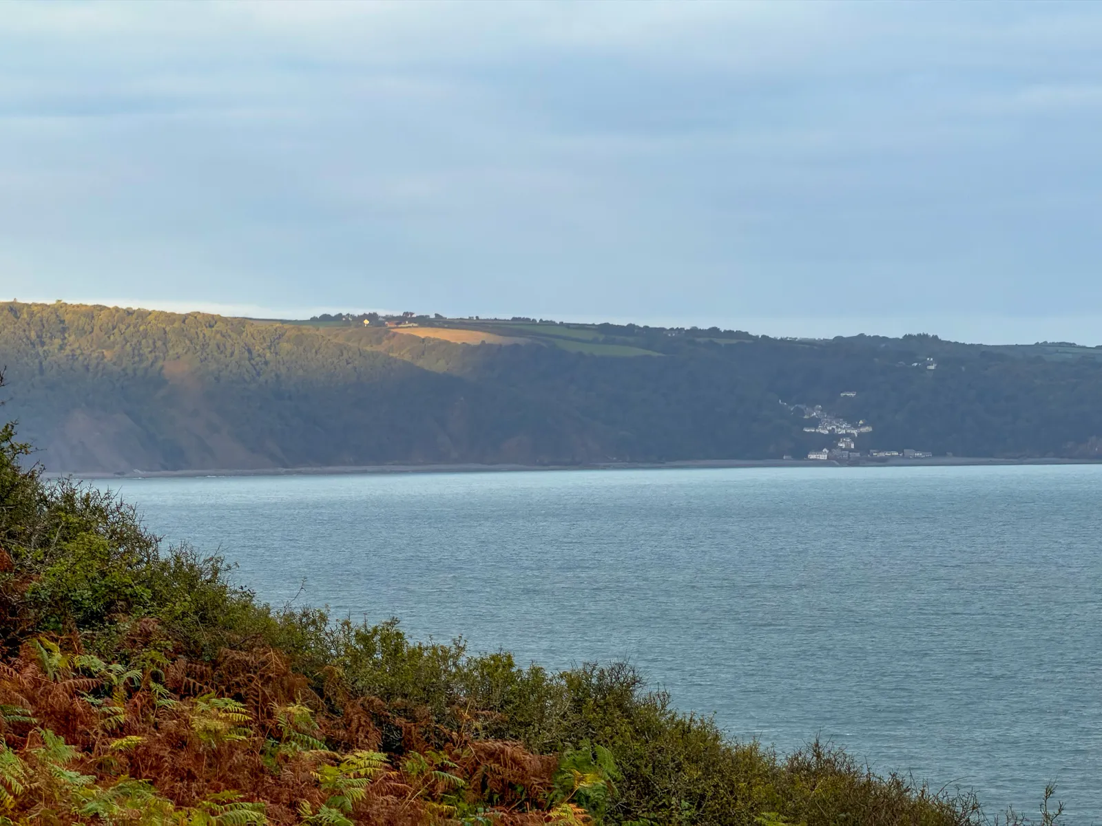 Photo at Abbotsham Cliff, Torridge