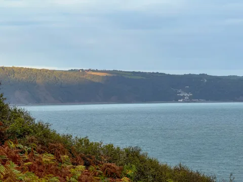 Photo at Abbotsham Cliff
