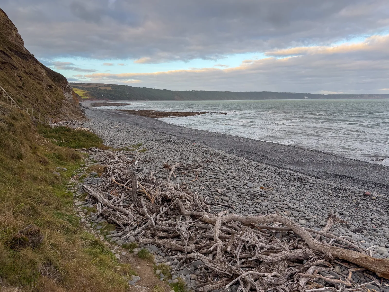 Photo at Abbotsham Cliff, Torridge