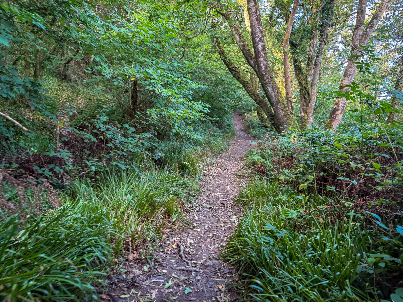 Photo at Bucks Mills, Torridge