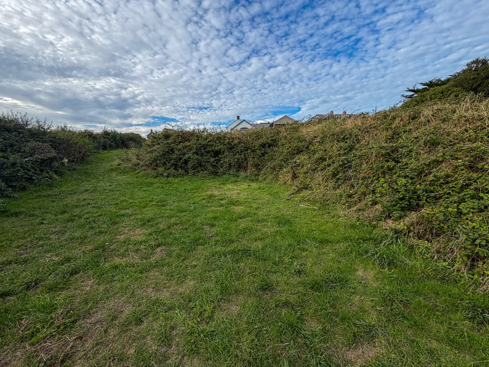 Photo at The Bush Inn, Bude