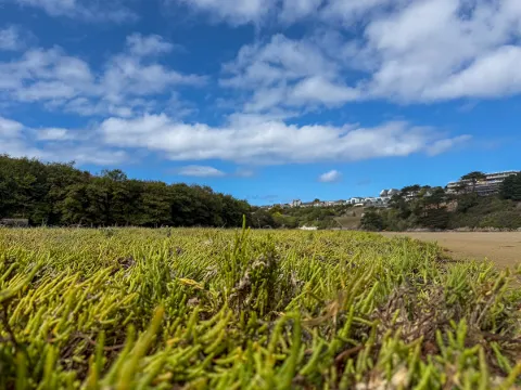 Photo at Crantock