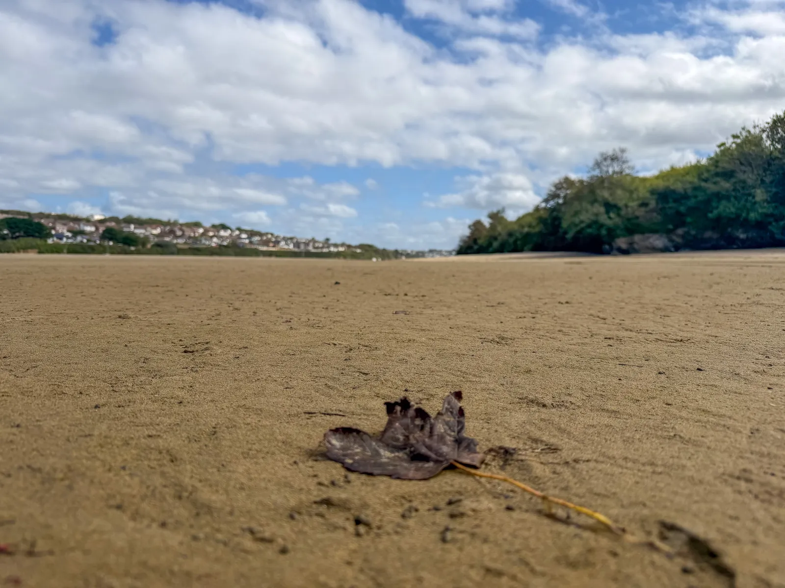 Photo at Crantock