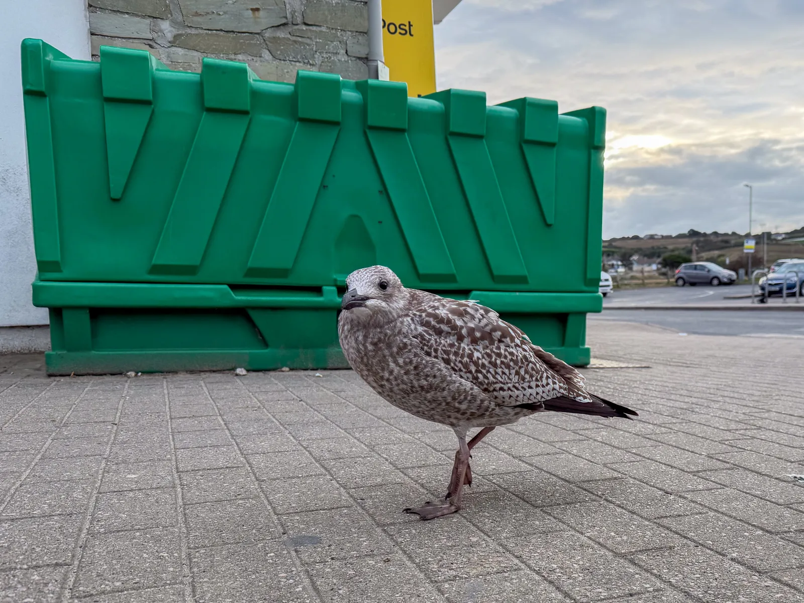 Photo at Perranporth