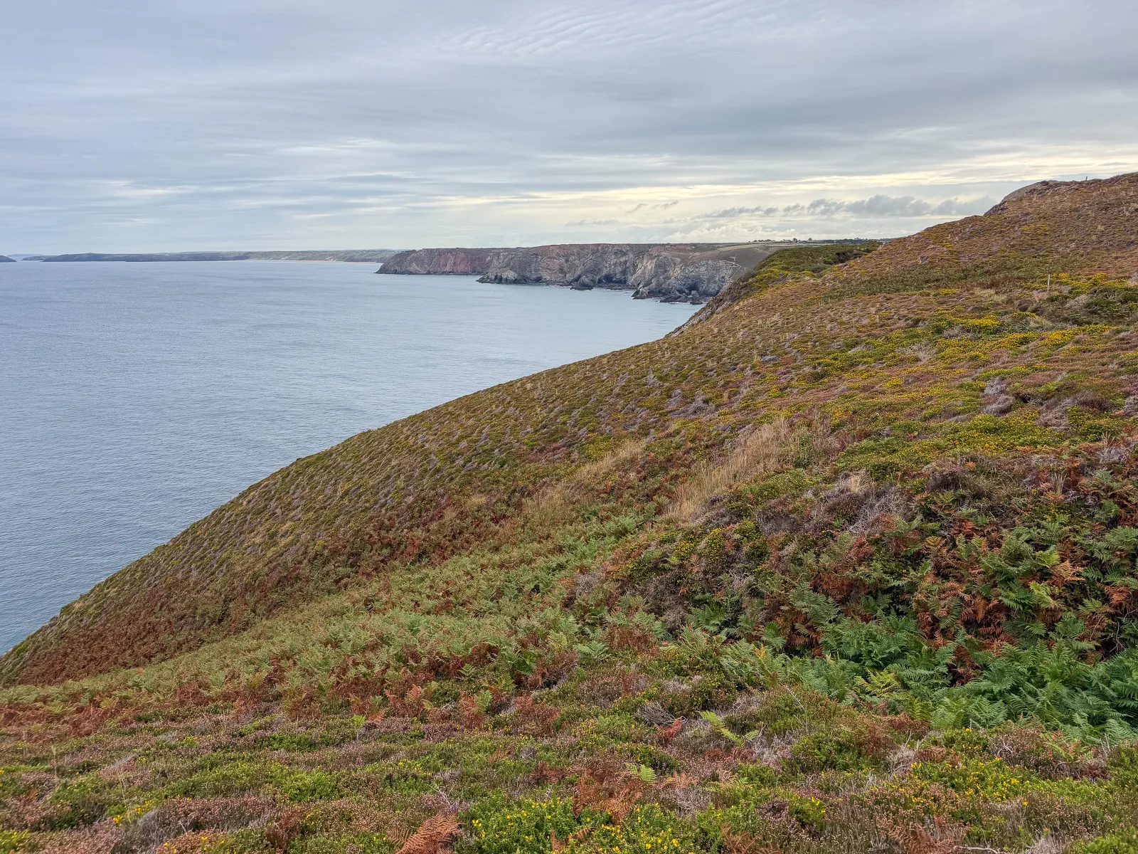 Photo at Wheal Coates