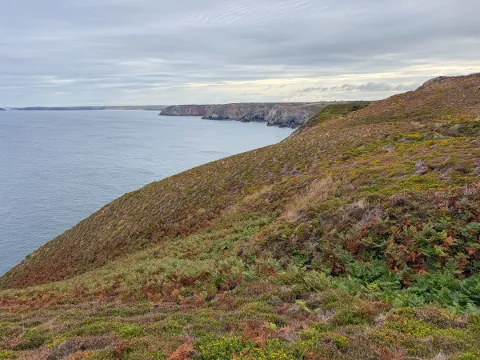 Photo at Wheal Coates