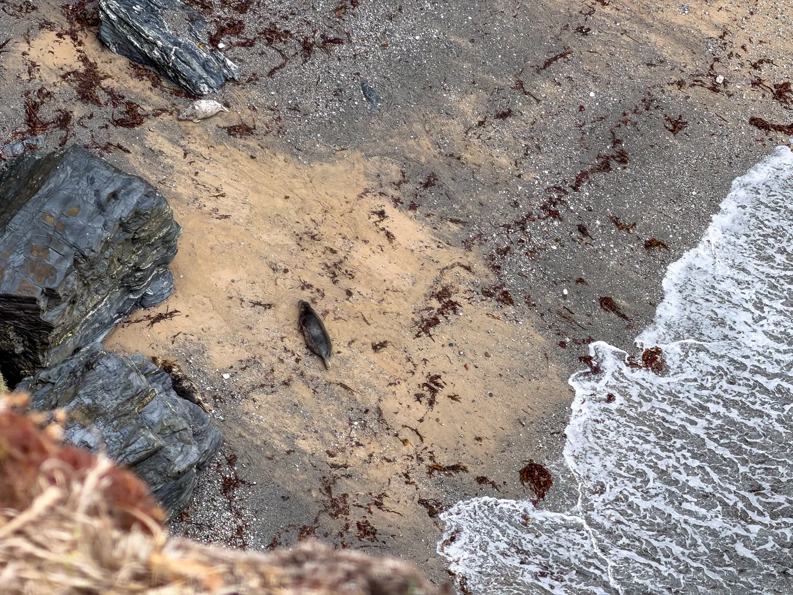 Photo at North Cliffs, Camborne