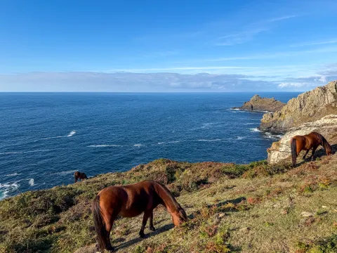 Photo at Zennor