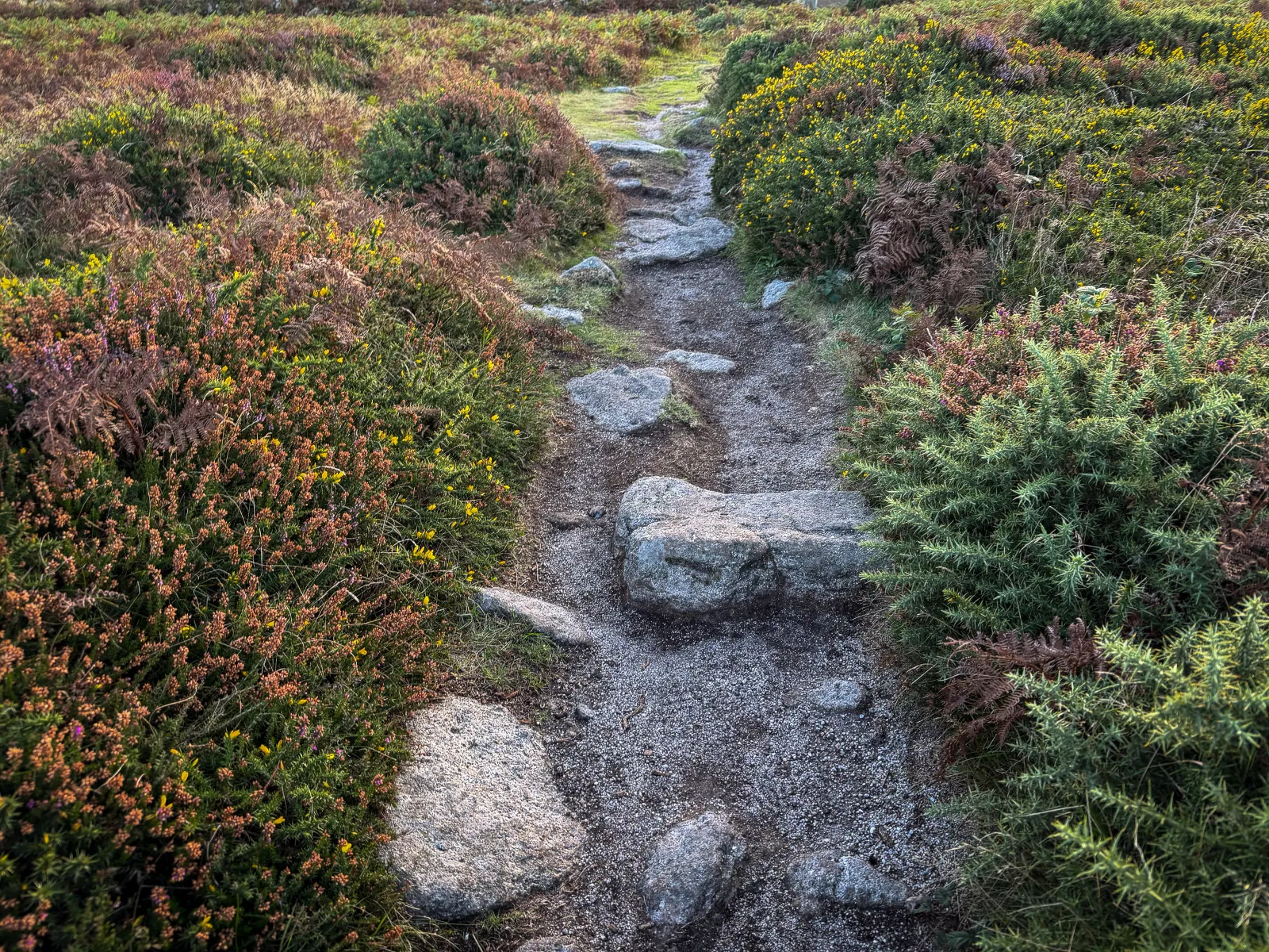 Photo at Pendeen