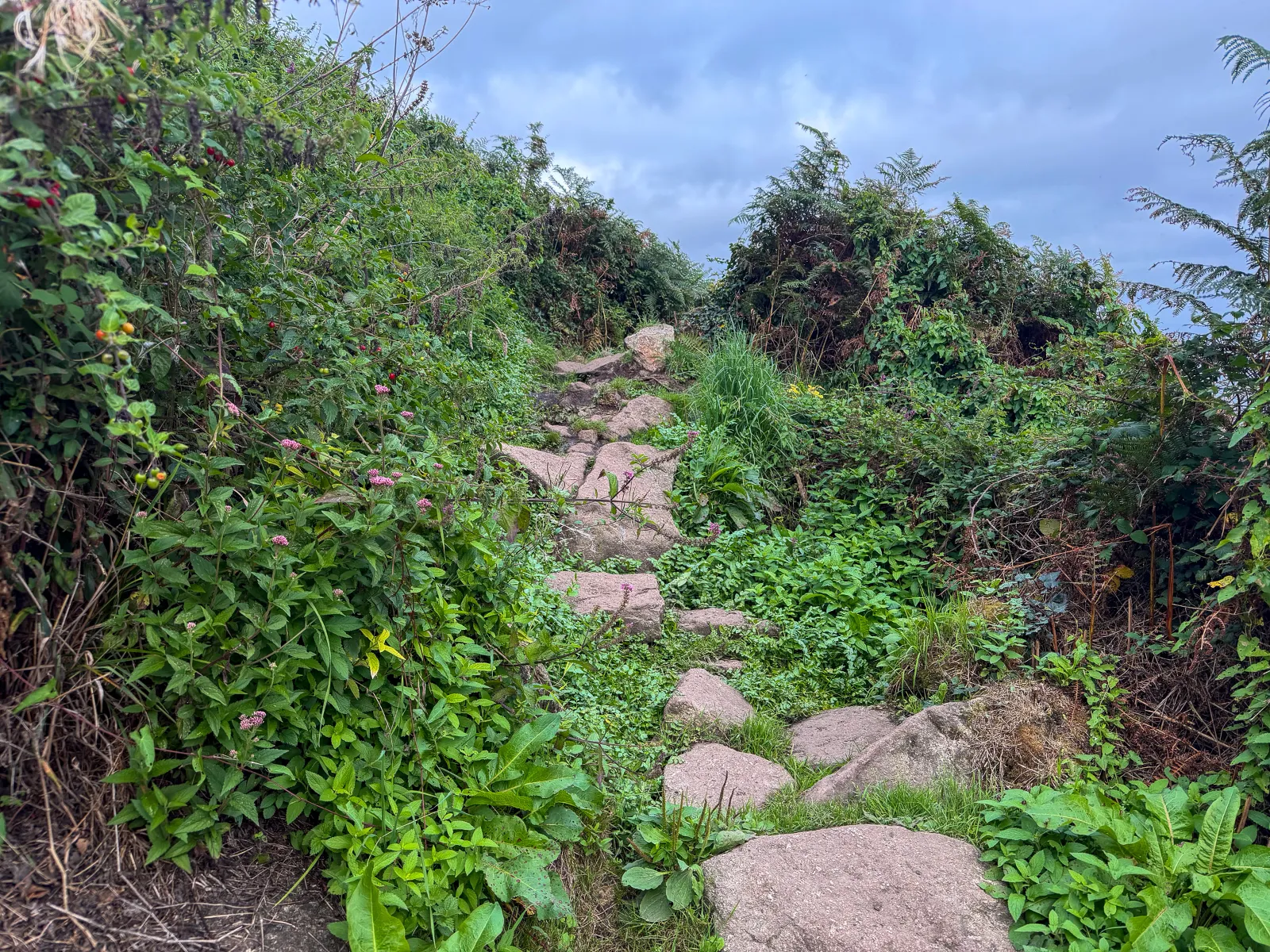 Photo at Mousehole, Penzance