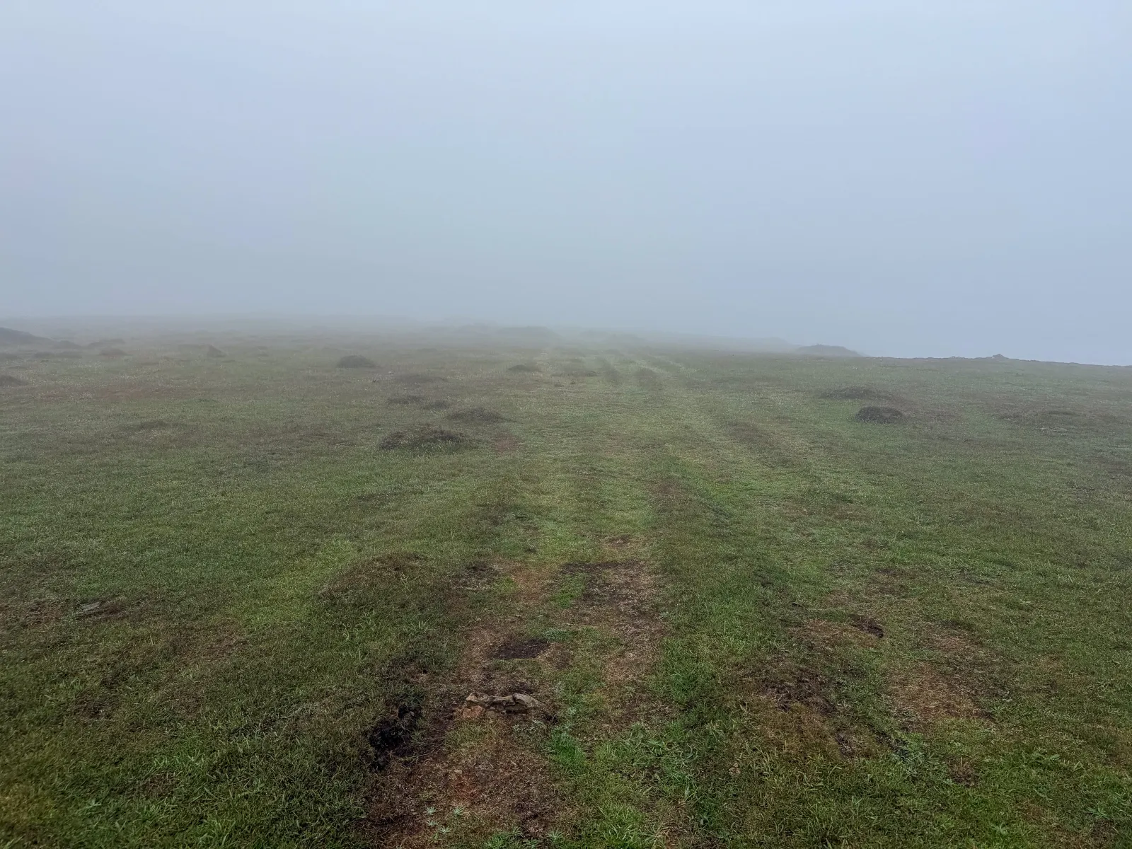 Photo at Predannack