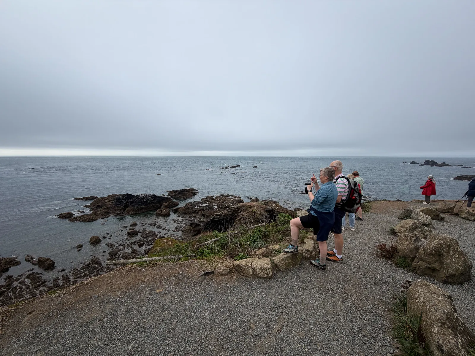 Photo at The Lizard
