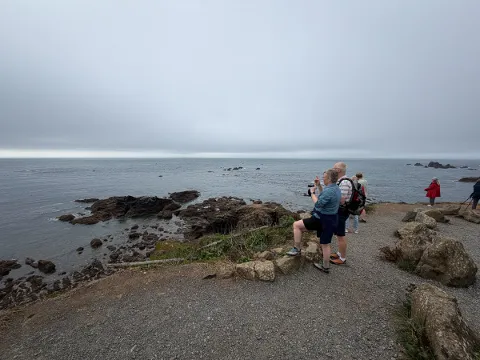Photo at The Lizard