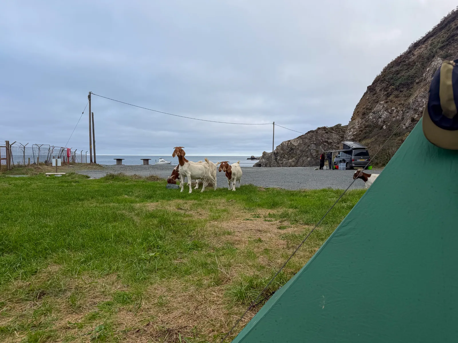 Photo at Porthallow