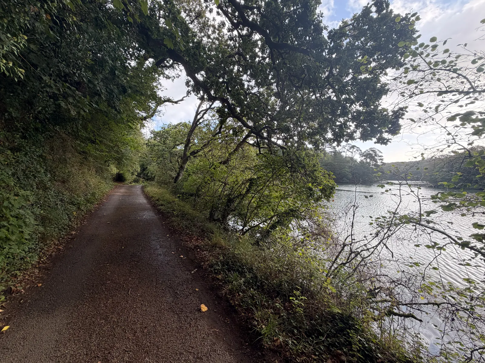Photo at Helford