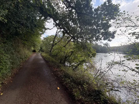 Photo at Helford