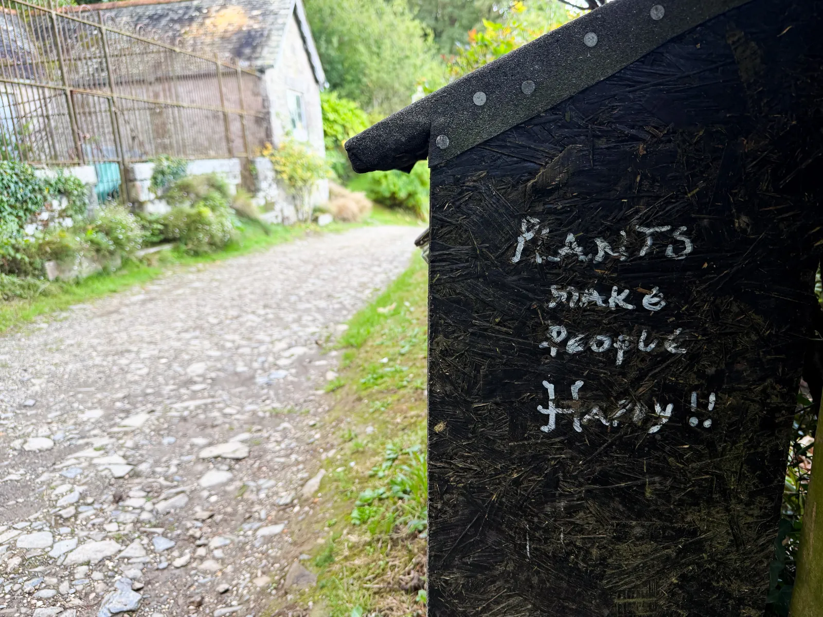 Photo at Durgan