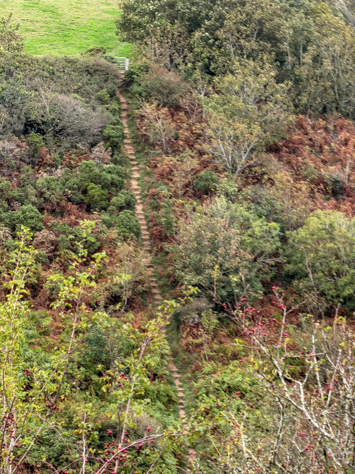 Photo at Ropehaven