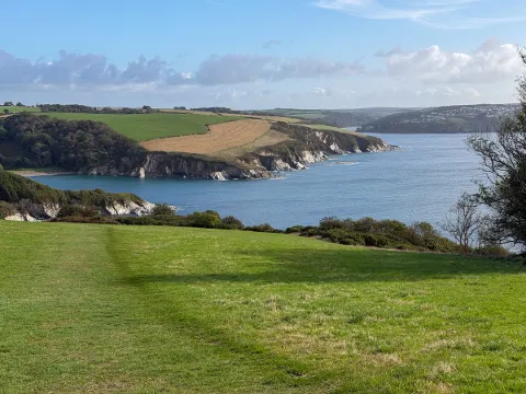 Photo at Gribbin Head