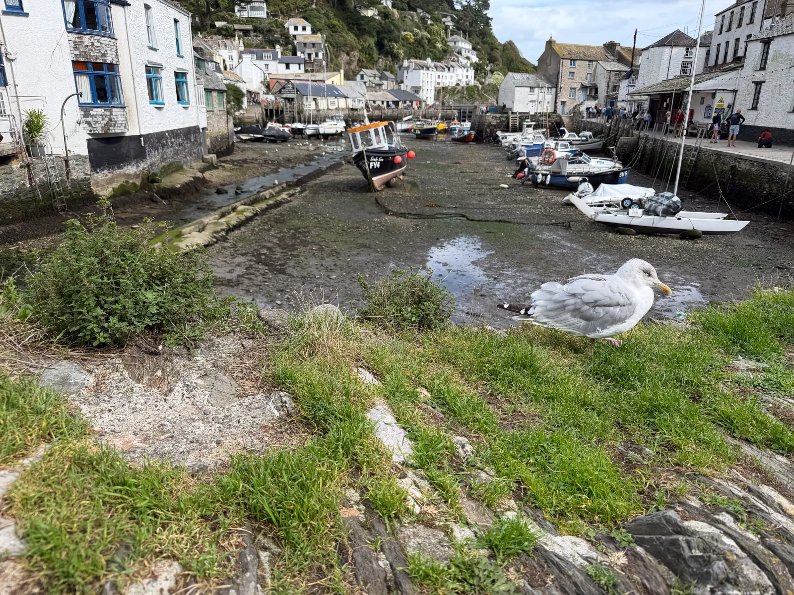 Photo at Polperro