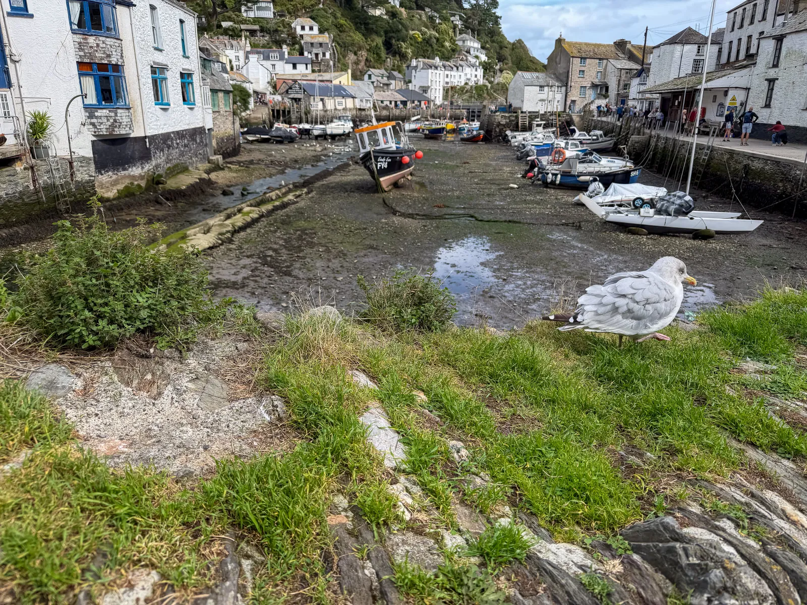 Photo at Polperro