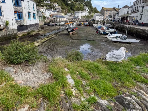 Photo at Polperro