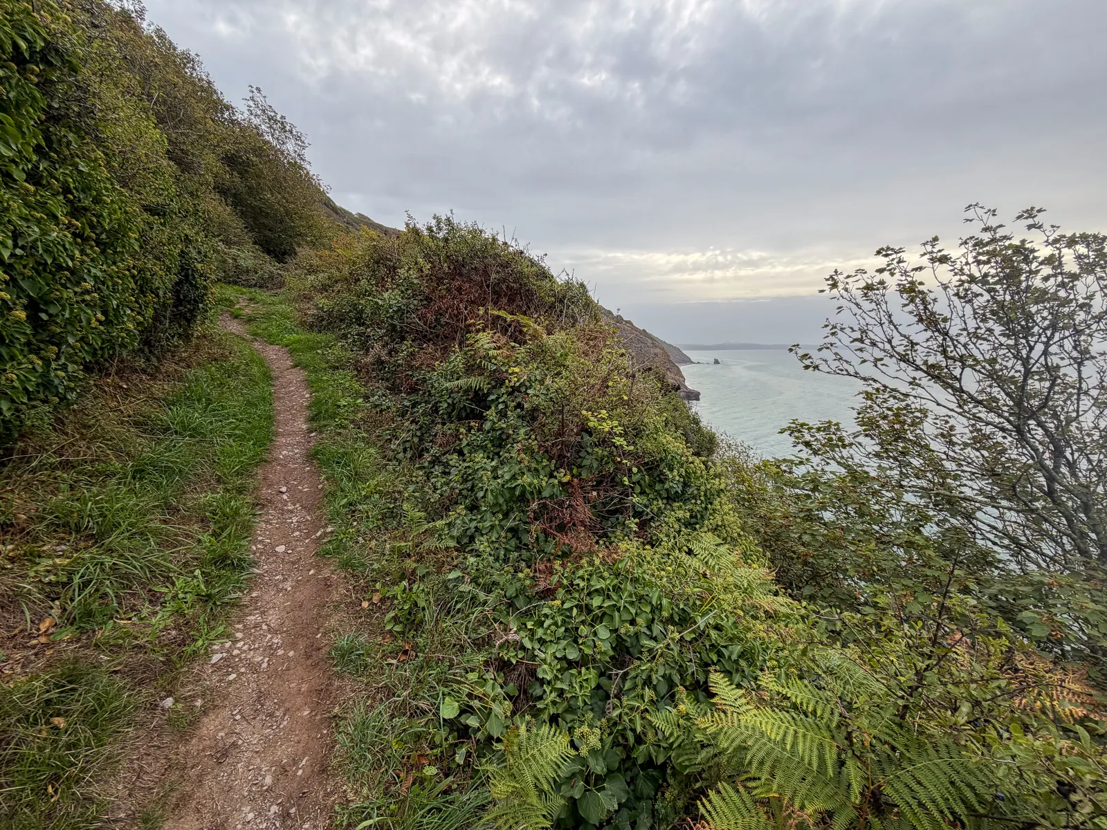 Photo at Downderry