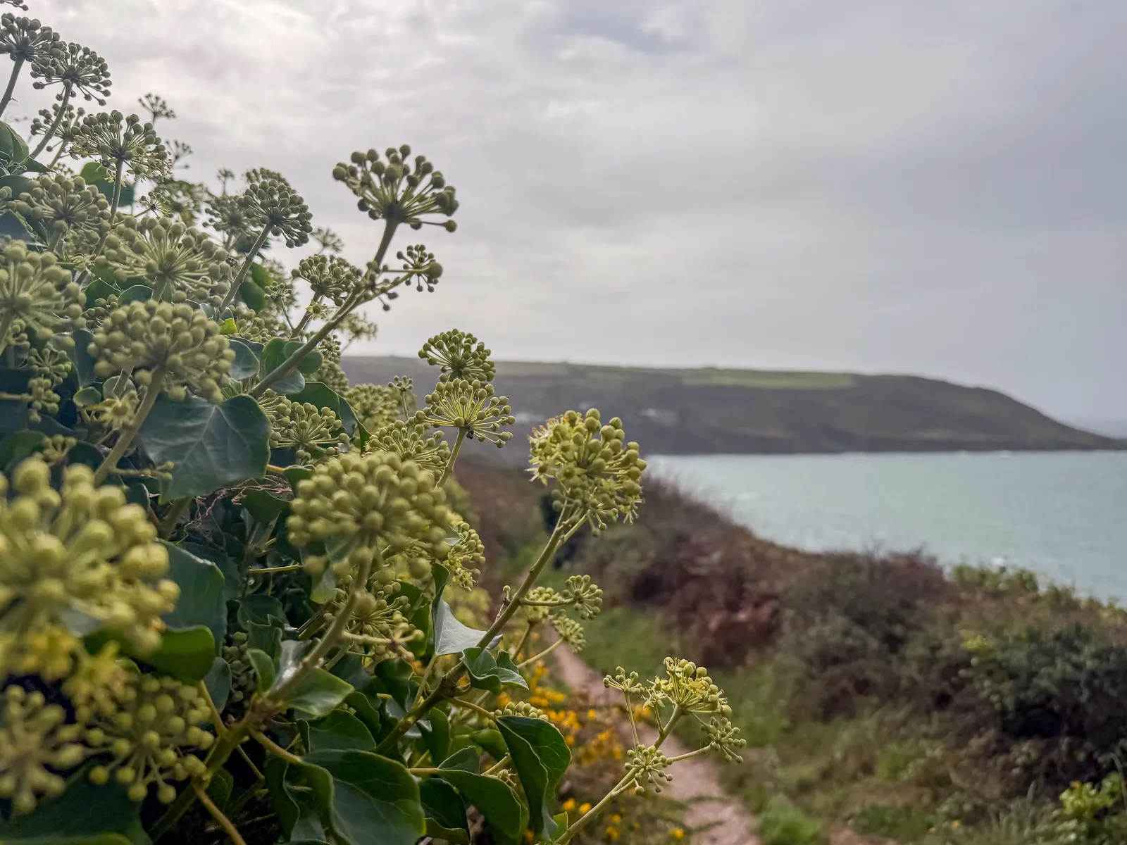 Photo at Whitsand Bay