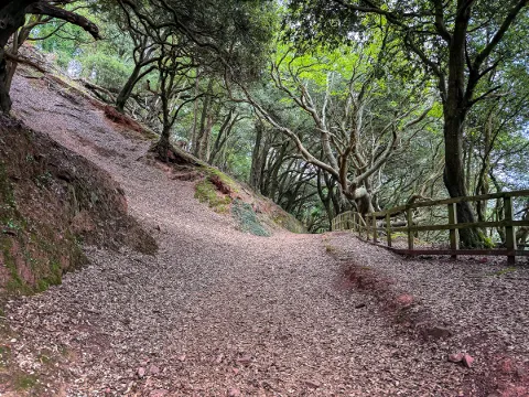 Photo at Mount Edgcumbe