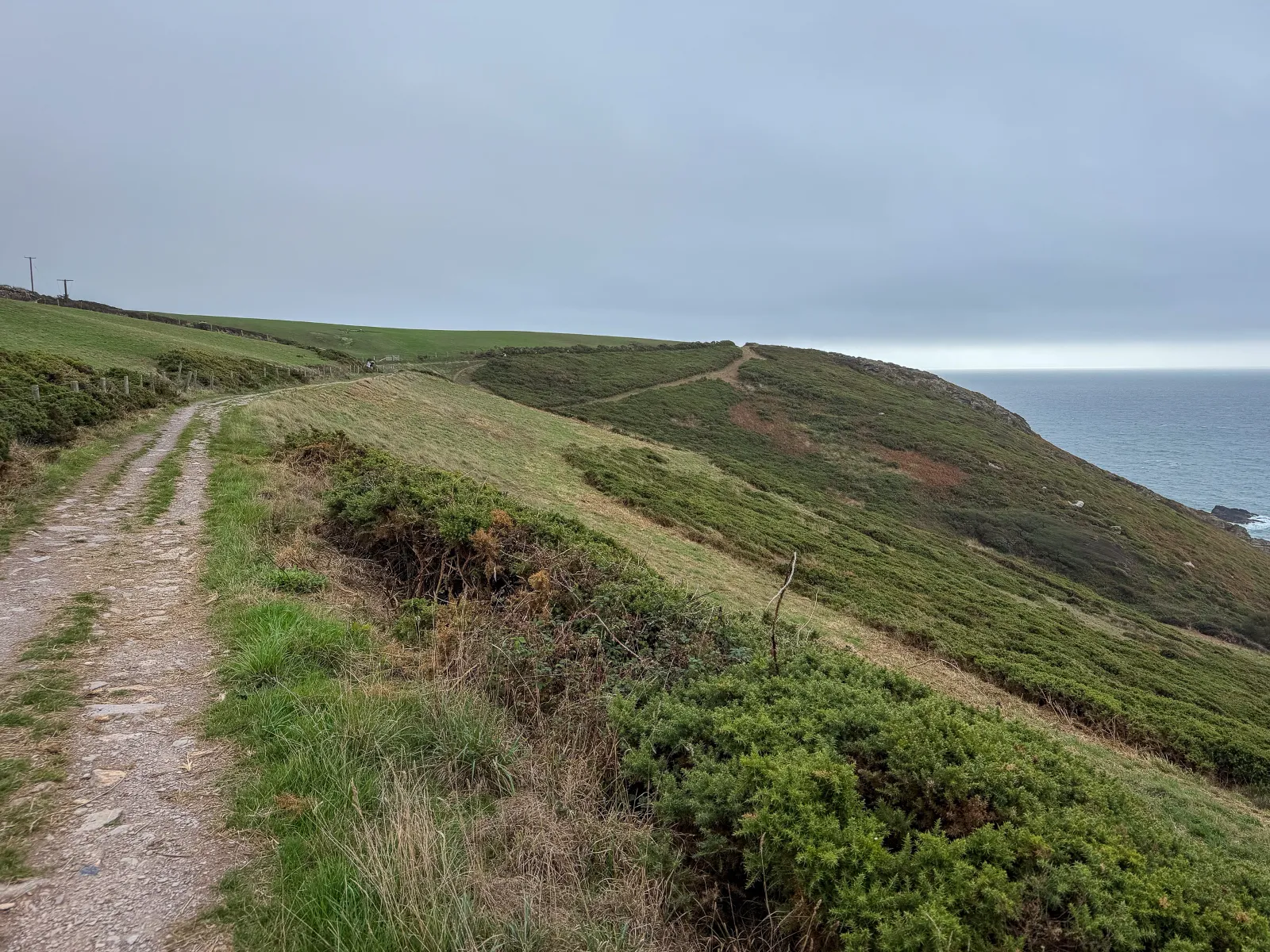 Photo at Noss Mayo, South Hams