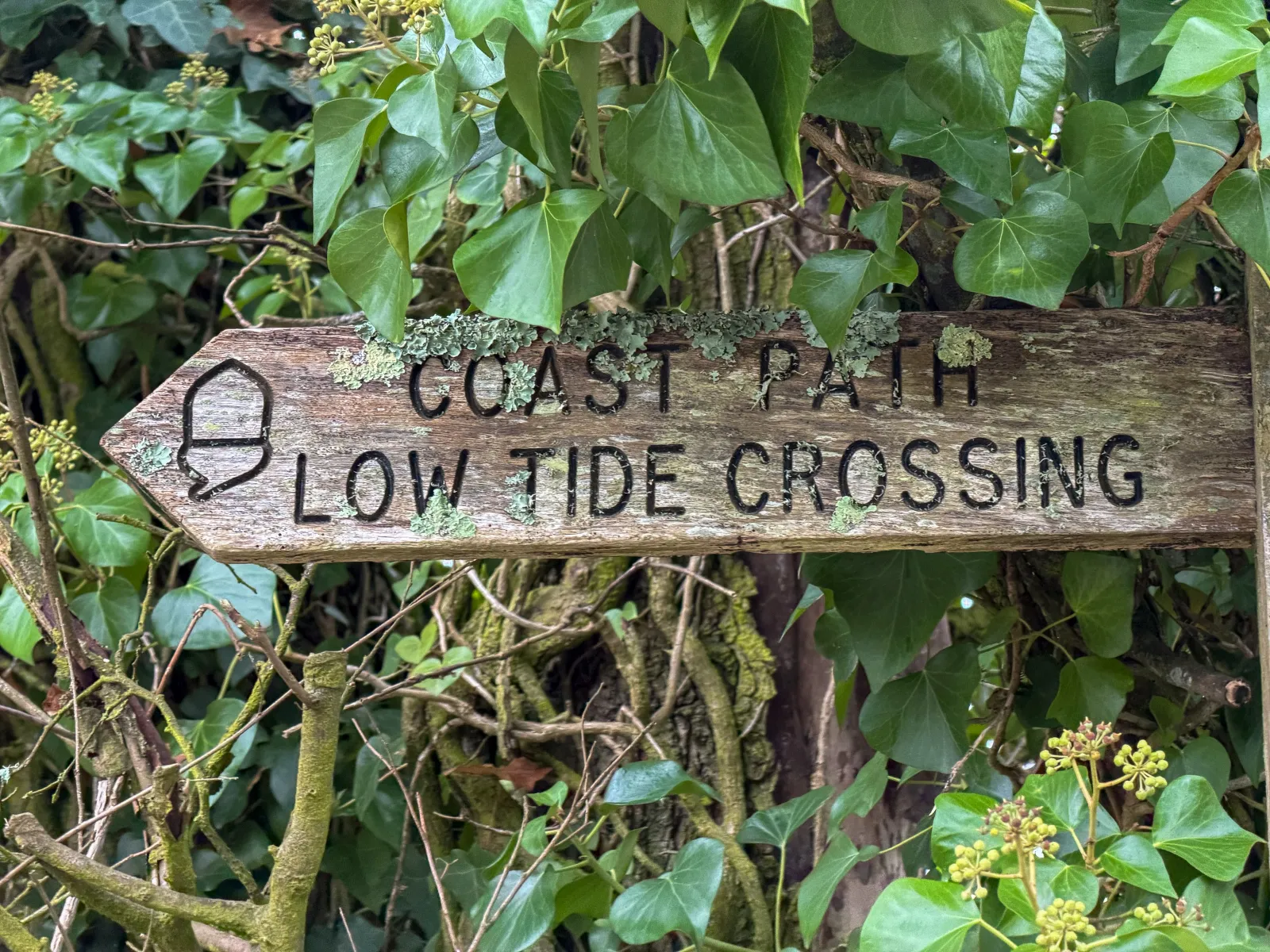 Photo at Holbeton, South Hams