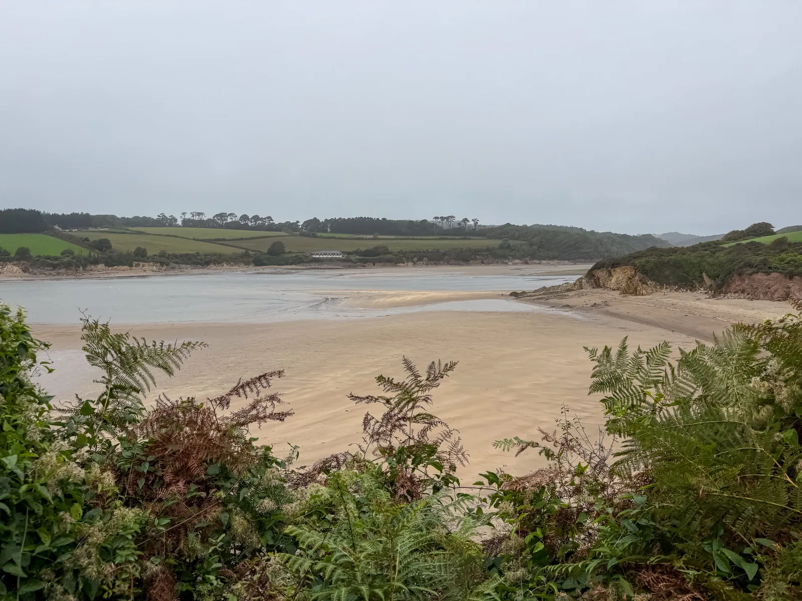 Photo at Mothecombe, South Hams